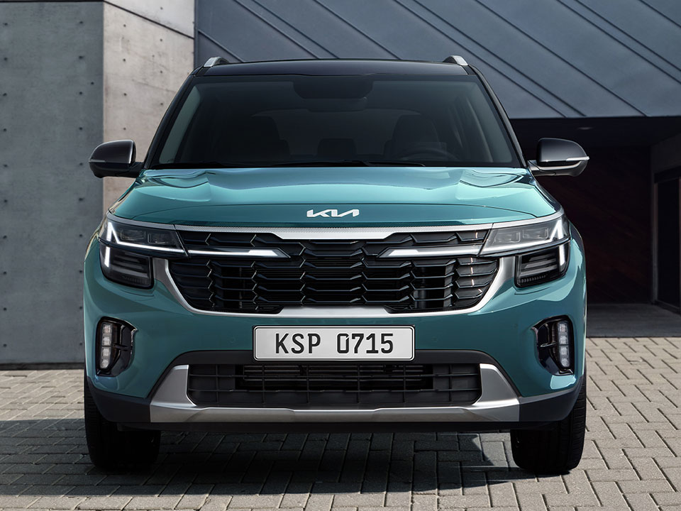 Parrilla “Tiger nose”