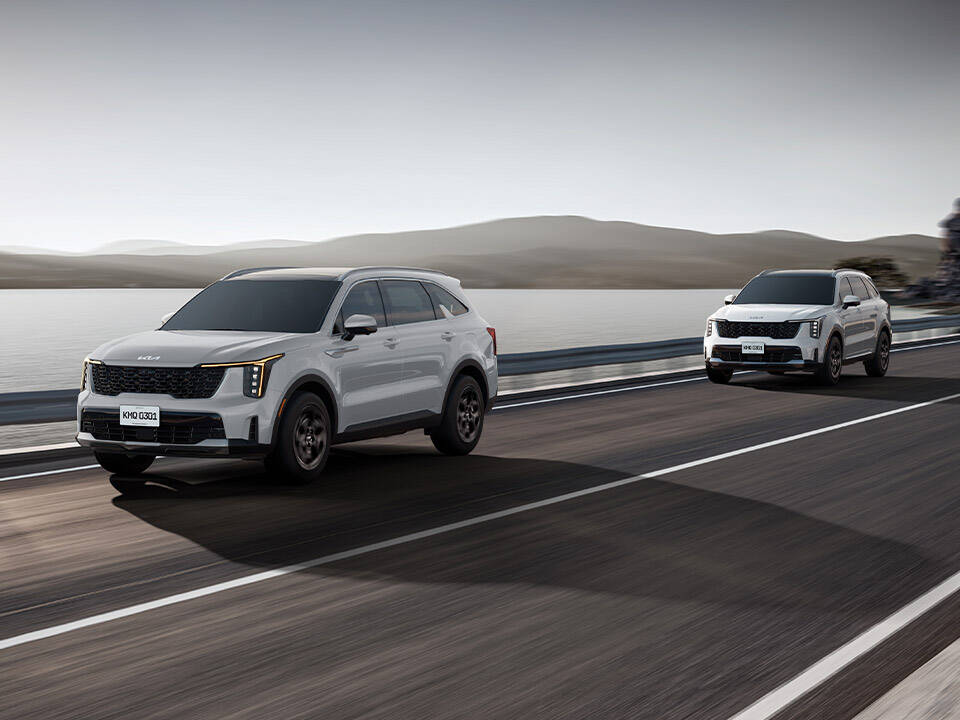 Control de crucero inteligente con función Stop & Go (SCC)